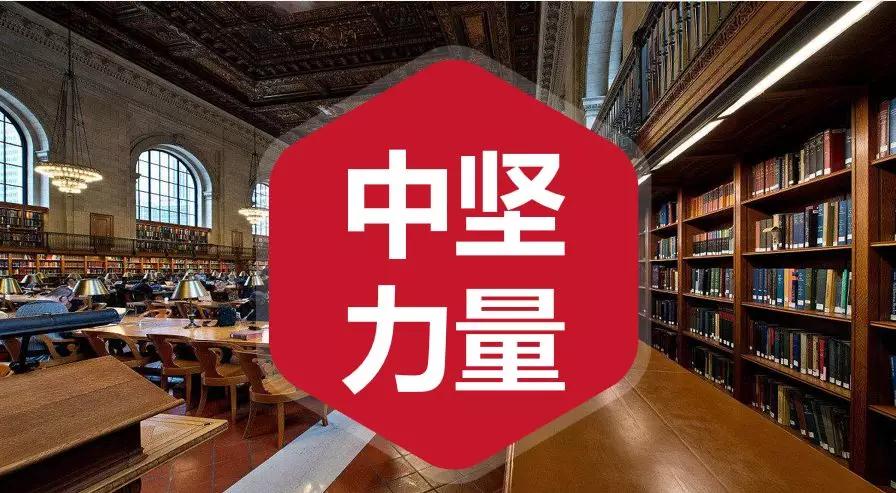 湖南中堅(jiān)力量.jpg